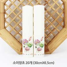 조선여우스캔들