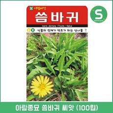 //상품명