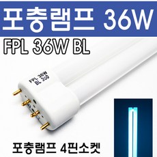 추천8BL36W