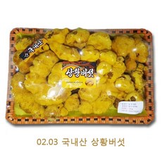 48c8ba61-f32d-49f7-bedb-94a5aab39ca1.jpg