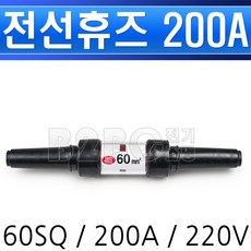 220v15a퓨즈