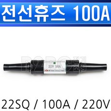 220v15a퓨즈