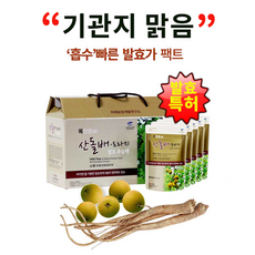 인제돌배