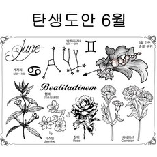 정경순생생헤나