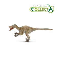 쥬라기월드피로랍토르