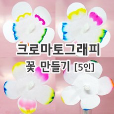 크로마토그래피꽃