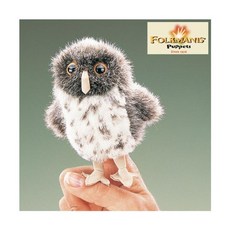 인형극공연지도사자격증