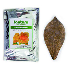 탄토라 알몬드잎 M(10장), 단품, 1팩, 5g