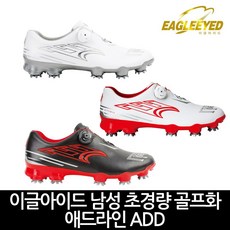 이글아이드골프화징