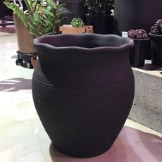 90b71fc0-0e11-454d-be89-6c55c7be38d8.jpg