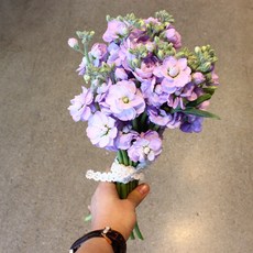 f06ca935-feae-47ad-b87b-3176478f1b98.jpg