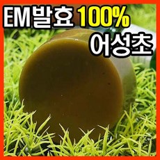 YB맘 EM 어성초 비누 수제비누 어성초비누 클렌징비누, 100g, 2개