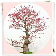 1de7ec76-73cb-4a92-bf40-038d8ae16ff6.jpg