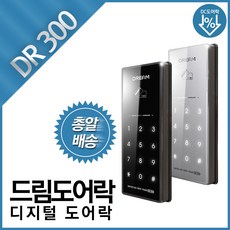 드림전자