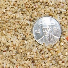 산호사 1~3mm(약3.5kg)