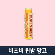 비체밤