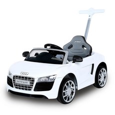 아우디푸쉬카캐노피