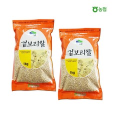경상도늘보리