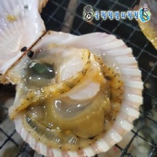 [굴철철] 통영제철수산물 당일조업발송, 1개, 가리비2kg