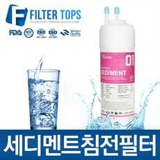 필터탑스 정수기필터, 선택01_6인치 한방향 세디멘트필터, 1개