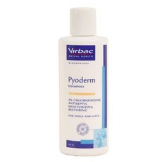 버박 HP 버박 파이오덤 약용샴푸 (세균 곰팡이성) 200ml, 1개