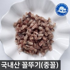 건조꼴뚜기