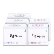 청담소녀 생리대 4개월 패키지(5팩), 04_중형2+대형3 (74p), 대형, 04_중형2+대형3 (74p)