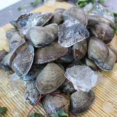 바지락1kg