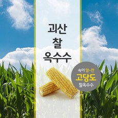 932b6656-a510-44e1-9f38-ce80ef9d24b2.jpg