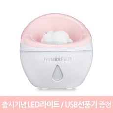 디노보미니가습기