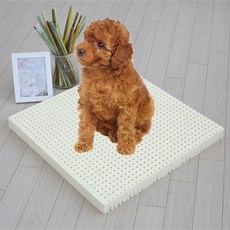 럭스앤펀라텍스방석