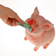 돼지 저금통 인기 순위