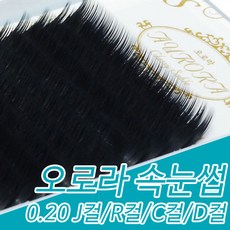 속눈썹d컬