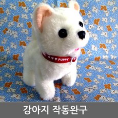 tv동물농장반려견자동노즈워크
