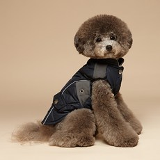 [무료배송+9900원+정품티셔츠증정]퍼피갤러리 큐리타샤 패딩 강아지 패딩 강아지파카 소형견 패딩 애견, 네이비블루