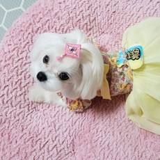 강아지한복만들기