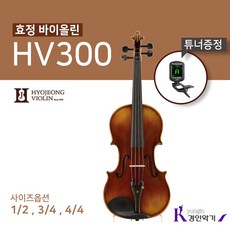 효정hv300