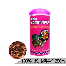 //상품명