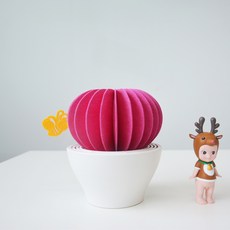 피오지오