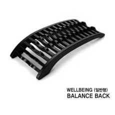웰빙밸런스백