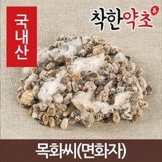 목화씨