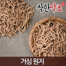 원지