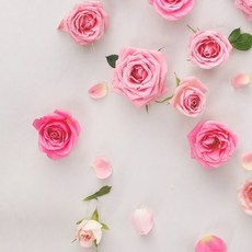 35b5f2b5-7048-4065-bb6c-854045b09e1f.jpg