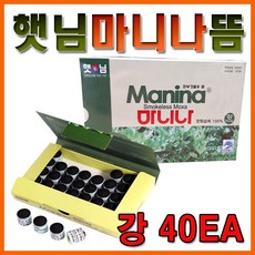 단전강화