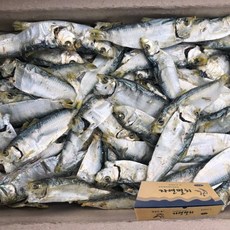 신건호멸치 국산 남해안 햇 디포리 1KG (국물용 육수용멸치), 1box