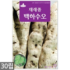 //상품명