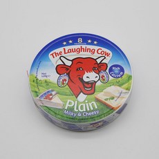 래핑카우세모포션플레인8p