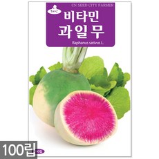 단호박씨