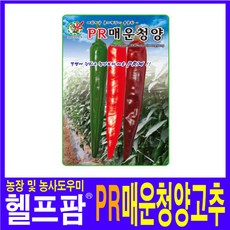 bdf524e2-f136-49bc-a97a-6c33b095de46.jpg