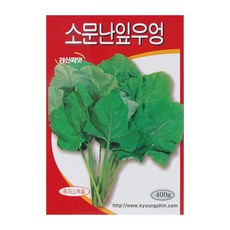 우엉잎
